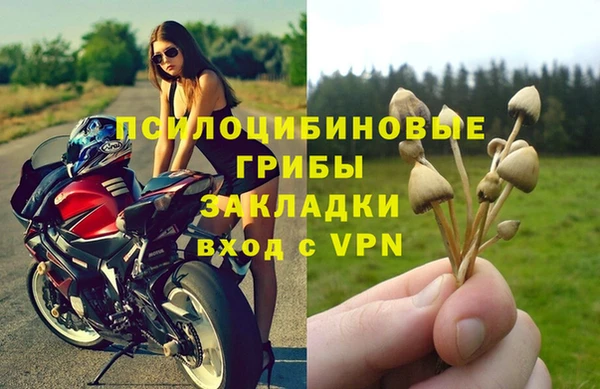 скорость Новозыбков