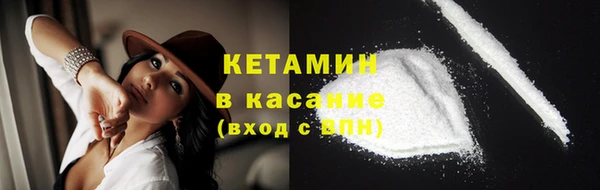 сатива Няндома
