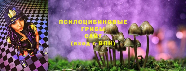 ешки Новокубанск