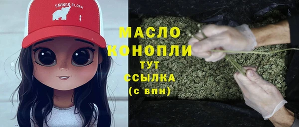 скорость Новозыбков