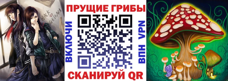 Галлюциногенные грибы Psilocybine cubensis  наркошоп  Купино 