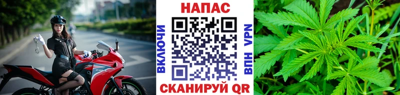 купить наркотик  Купино  Конопля тримм 